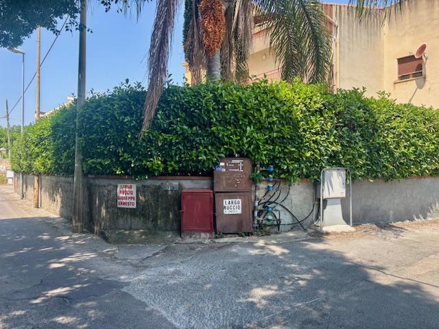 largo ernesto nuccio