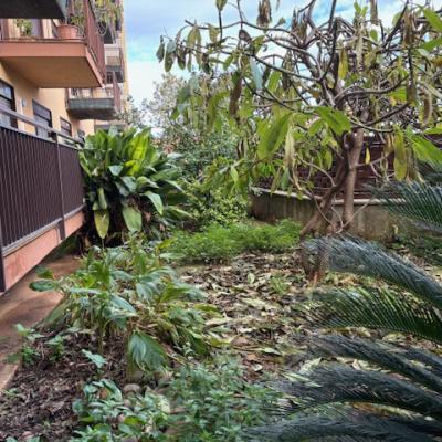 via placido rizzotto