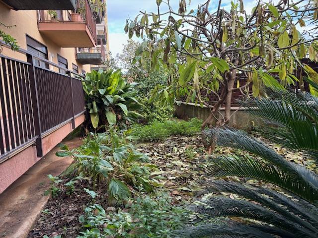 via placido rizzotto