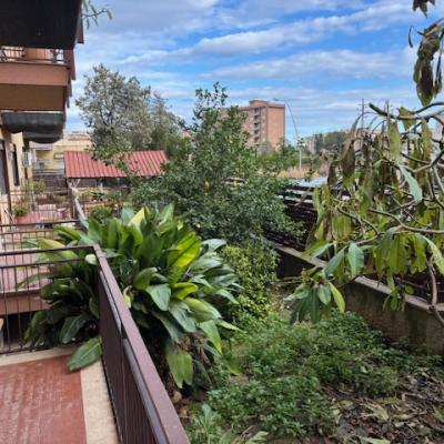 via placido rizzotto