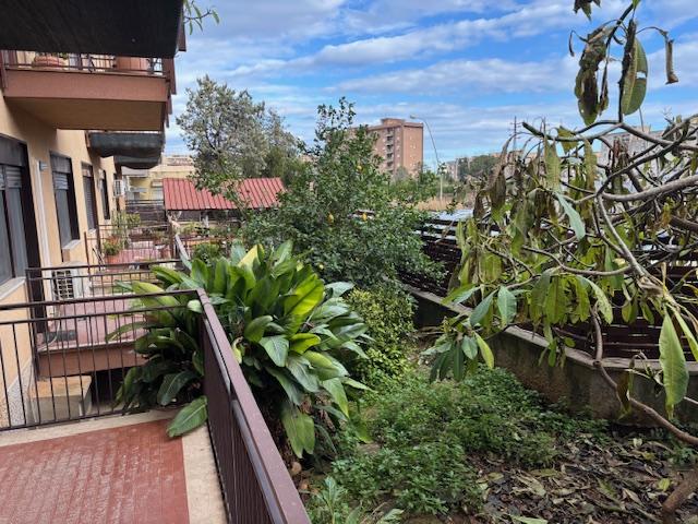 via placido rizzotto